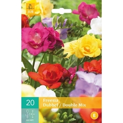 Freesia Double Mix - 20 ks