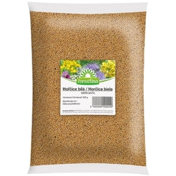 Hořčice bílá - 800 g Hořčice bílá - 800 g