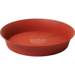 Miska Tulipán - terakota Miska Tulipán - terakota