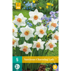 Narcis - Charming Lady - 5 cibulí