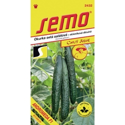 Okurka skleníková - Andromeda F1 (SM 41/21) - série ASIE