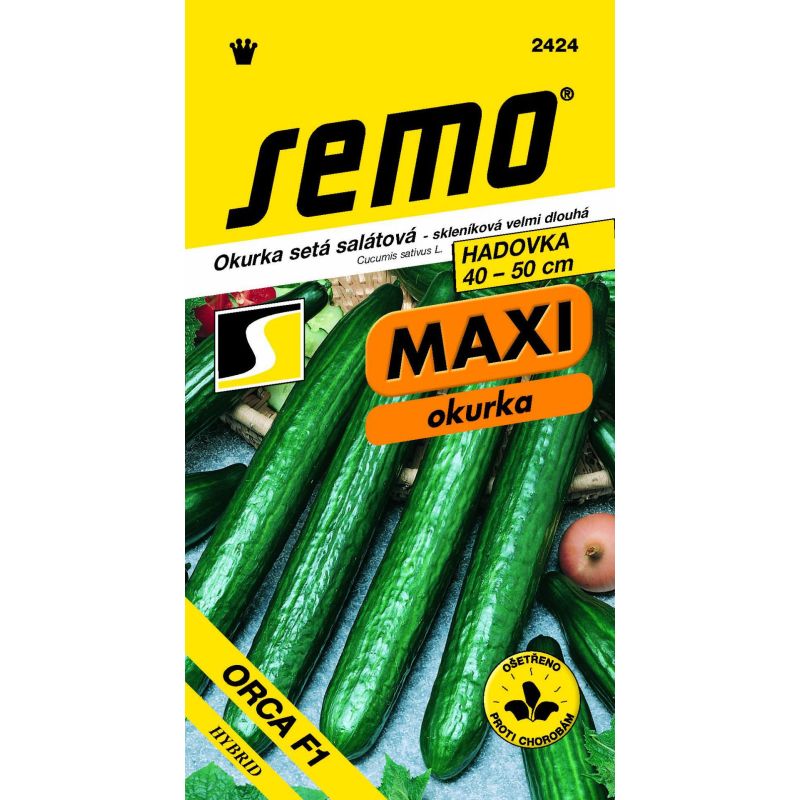 Okurka setá salátová hadovka Orca F1 velmi dlouhá  - série MAXI