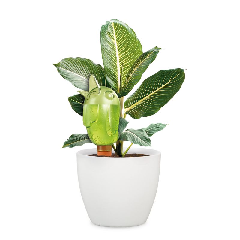 Zavlažovací systém (baňka) 110 Bördy M Green 20 cm - 220 ml aplikace